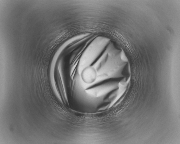 X0000115640697200912011501