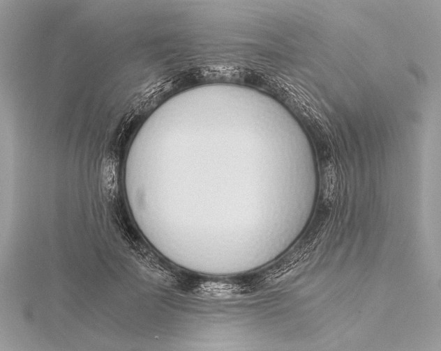 X0000115640699200912011501