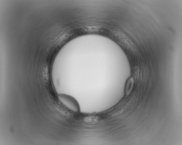 X0000115640700200912011501