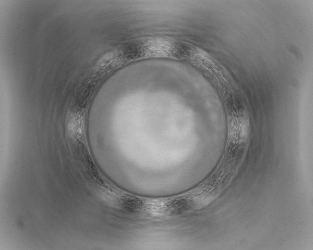 X0000115640701200912011501