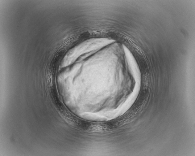 X0000115640703200912011501