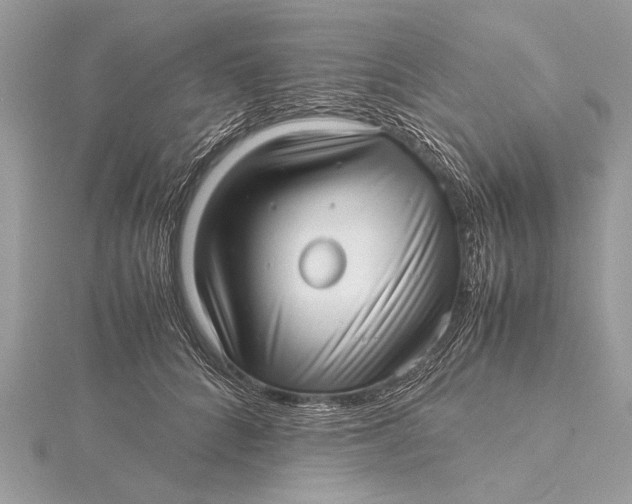 X0000115640704200912011501