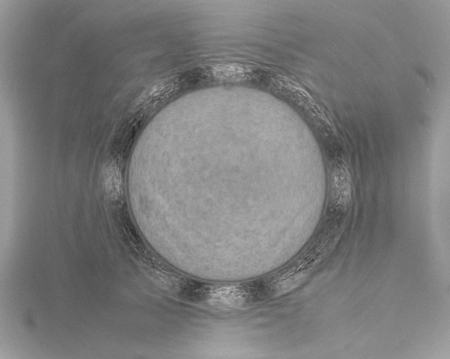 X0000115640705200912011501