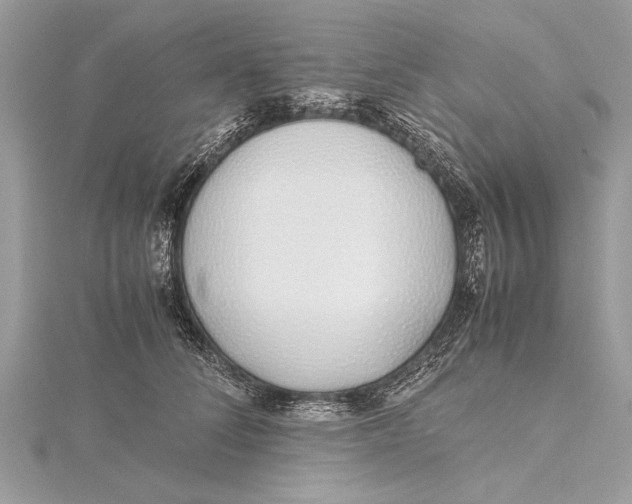 X0000115640708200912011501