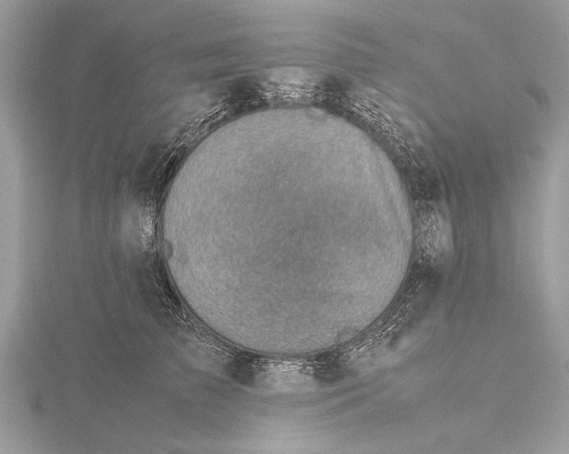 X0000115640709200912011501