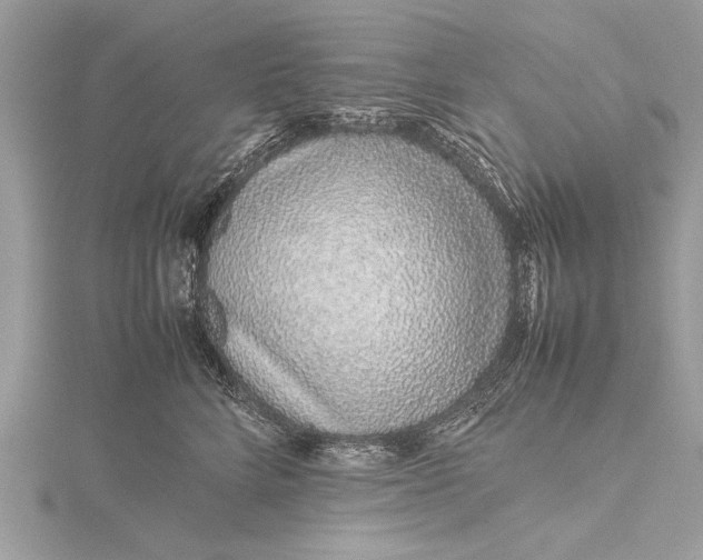 X0000115640712200912011501