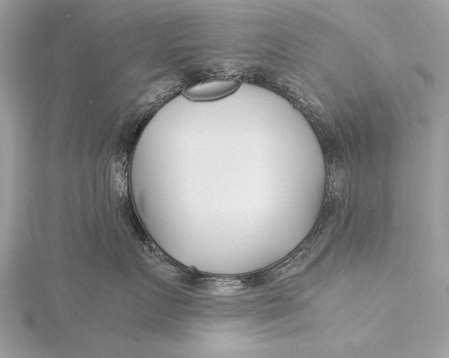 X0000115640719200912011501