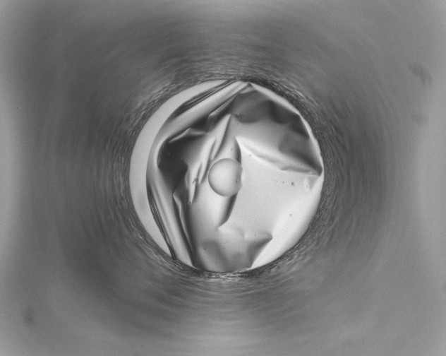 X0000115640720200912011501