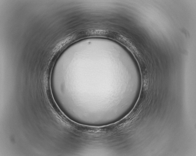 X0000115640725200912011500