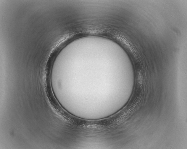 X0000115640730200912011501