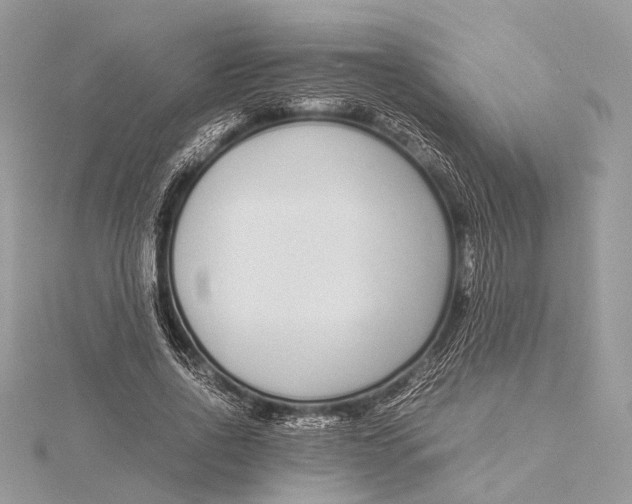X0000115640734200912011501