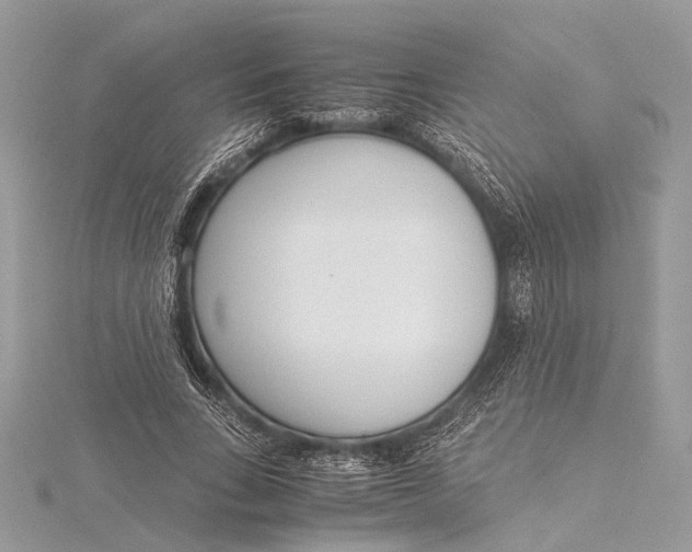 X0000115640735200912011501