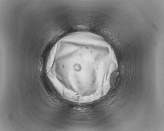 X0000115640739200912011501