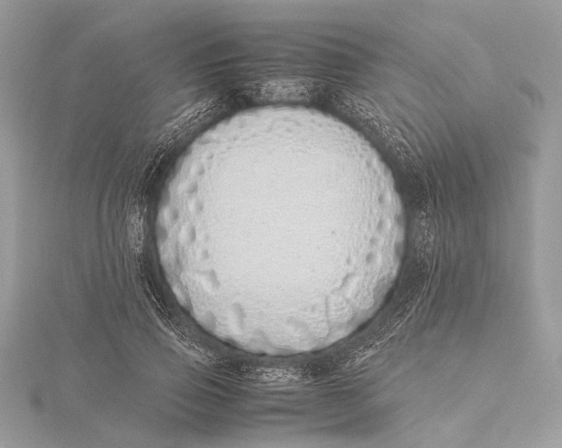 X0000115640741200912011501