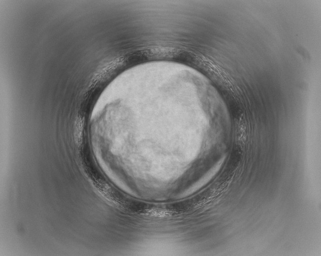 X0000115640742200912011501