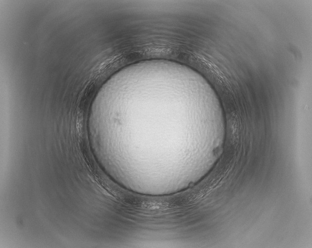 X0000115640745200912011501