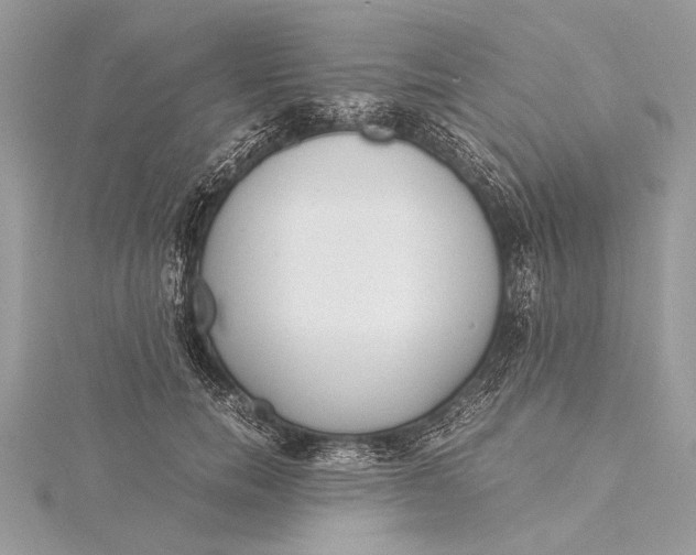 X0000115640750200912011501