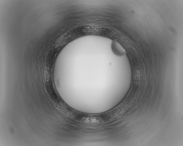 X0000115640751200912011501