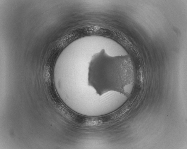X0000115640754200912011501