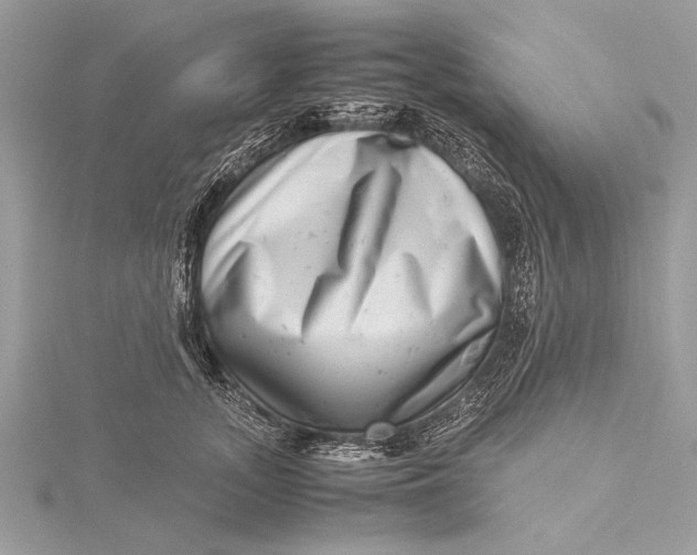 X0000115640755200912011501