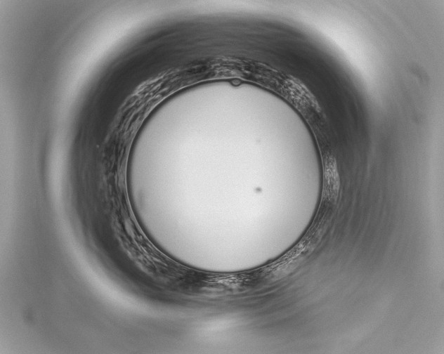 X0000115640765200912011501