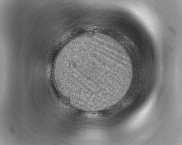 X0000115640767200912011501