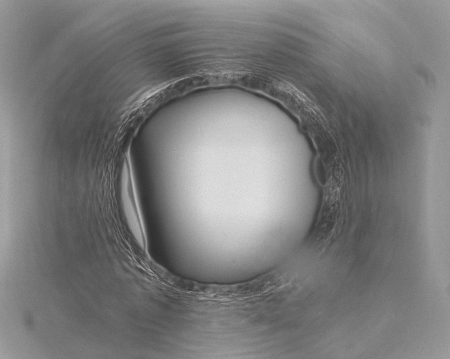 X0000115640773200912011500