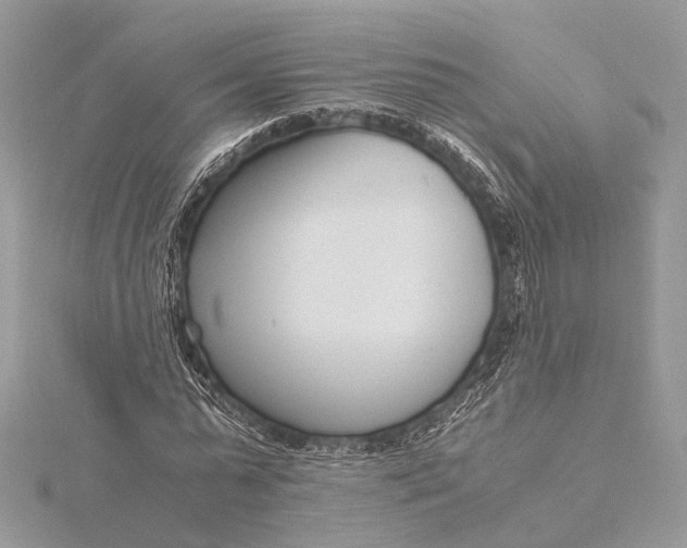 X0000115640775200912011500