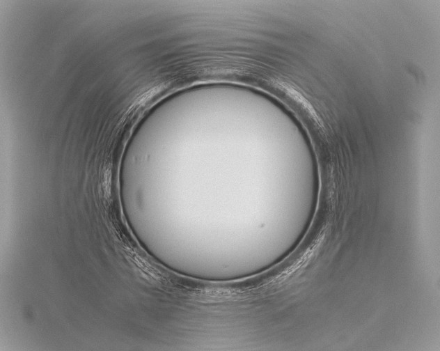 X0000115640777200912011500