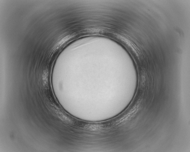 X0000115640778200912011500