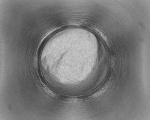 X0000115640779200912011500
