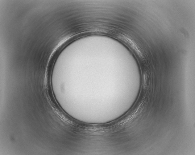 X0000115640780200912011500