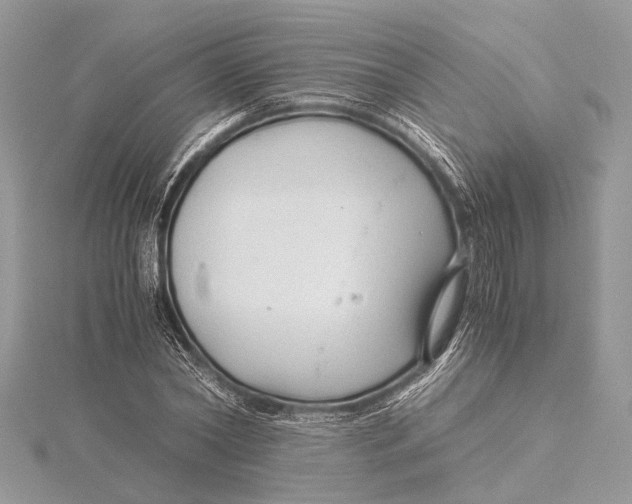 X0000115640782200912011500
