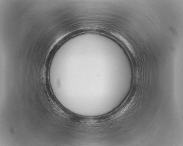 X0000115640783200912011500