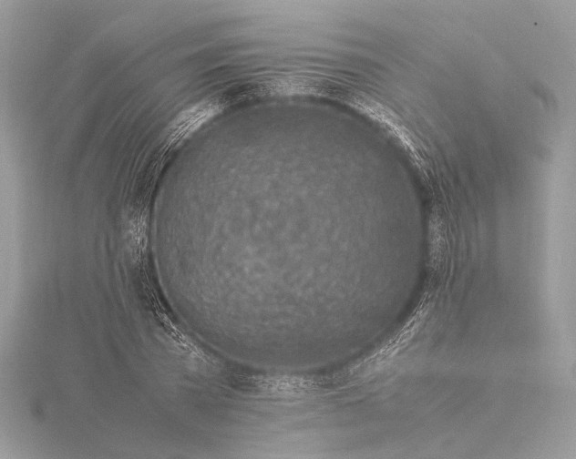 X0000115640785200912011500