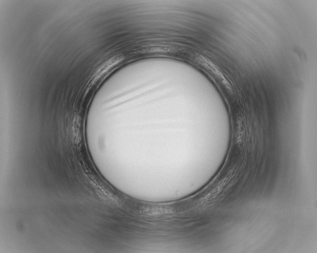 X0000115640786200912011500