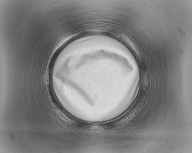 X0000115640787200912011500