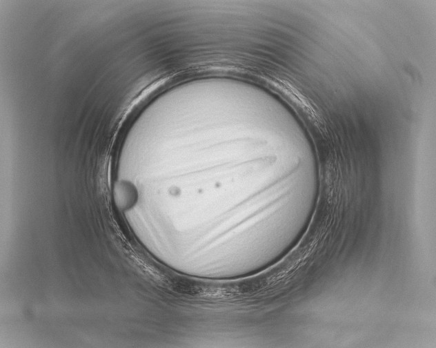 X0000115640790200912011500