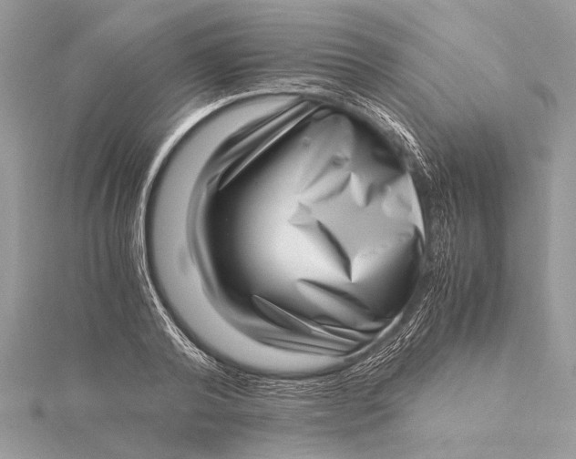 X0000115640792200912011500