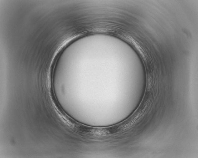 X0000115640795200912011500