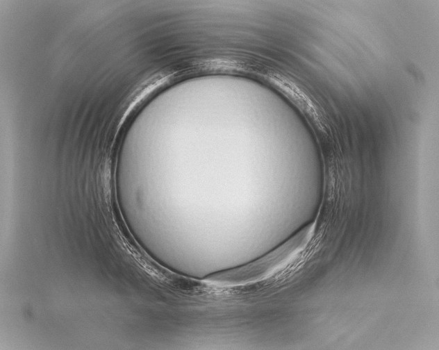 X0000115640798200912011500