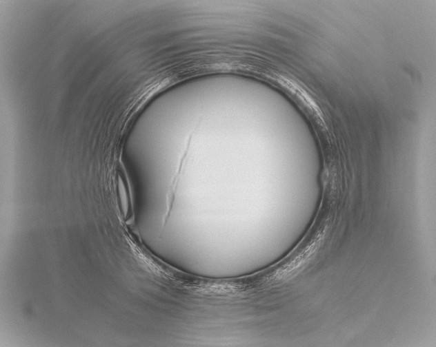 X0000115640801200912011500