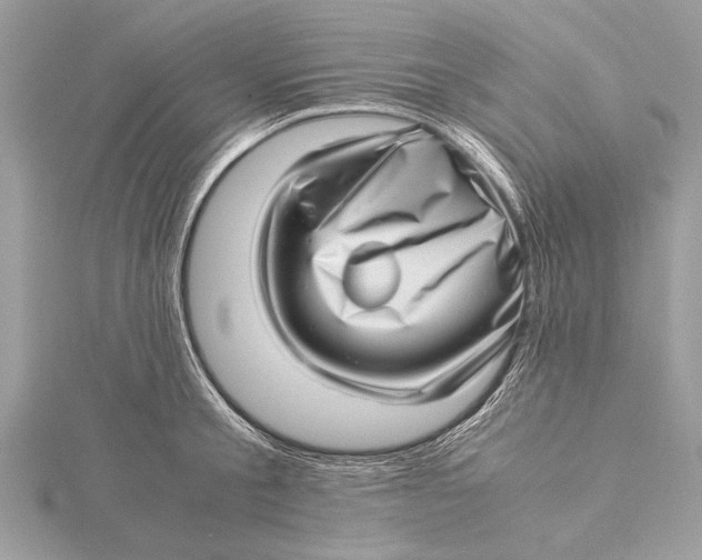 X0000115640805200912011500