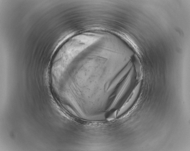 X0000115640806200912011500