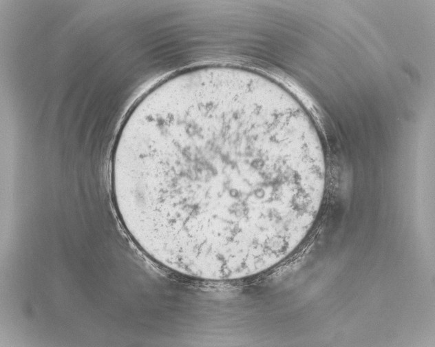 X0000115640807200912011500