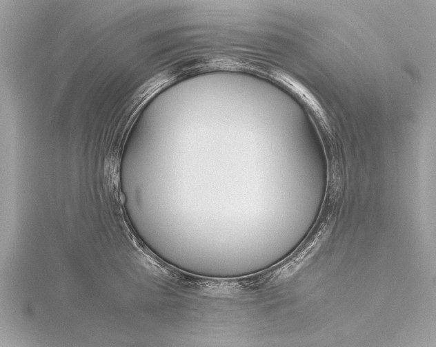 X0000115640809200912011500