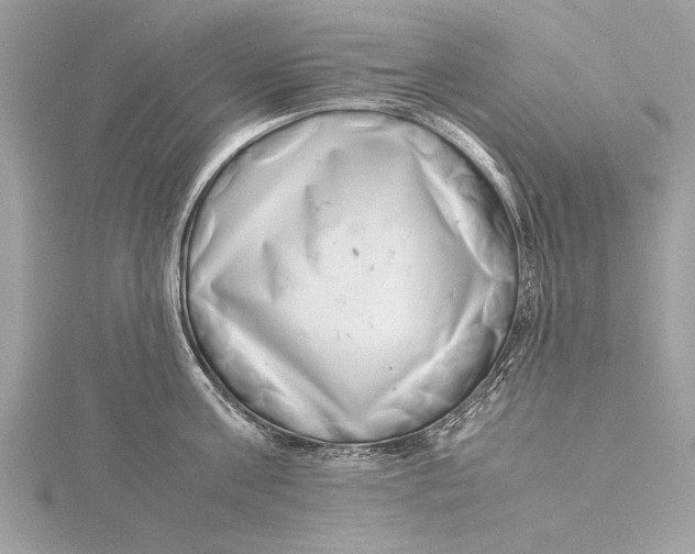 X0000115640811200912011500
