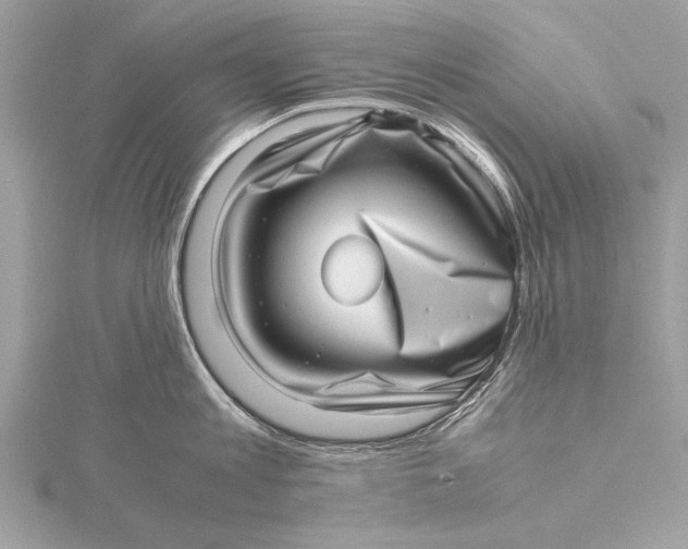 X0000115640813200912011500