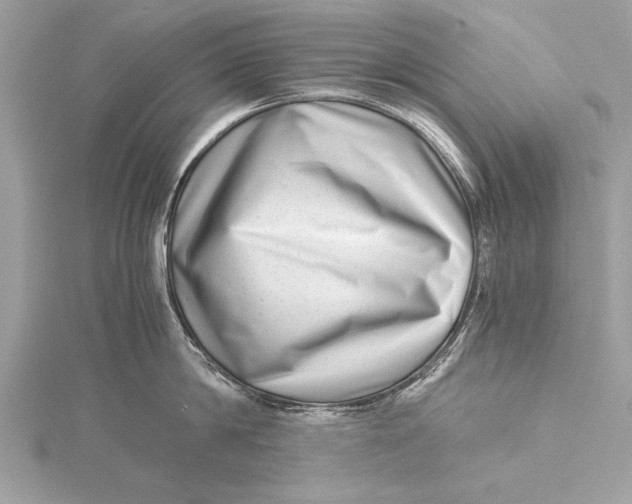 X0000115640814200912011500