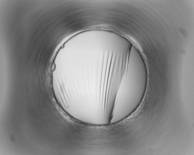 X0000115640816200912011500